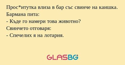 Прос*итутка влиза в бар със свинче...