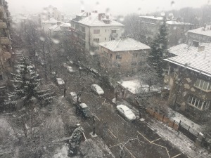 В битката за първенство по ” сензации” първата жертва е здравият разум