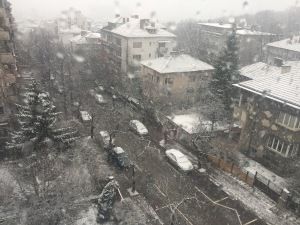 В битката за първенство по ” сензации” първата жертва е здравият разум