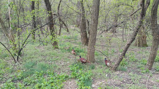 Разширяват парк Лаута с 15 дка