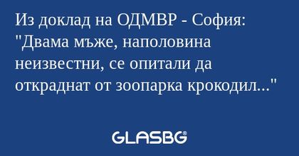 Из доклад на ОДМВР - София: "Двама...
