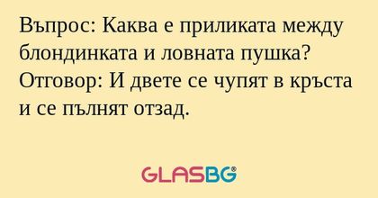 Въпрос: Каква е приликата между...