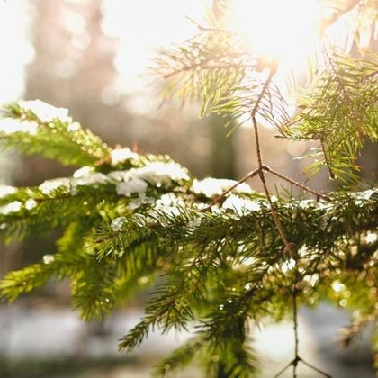 НИМХ: Минималните температури утре ще бъдат между минус 5° и 0°, в София около минус 4°