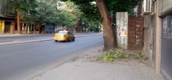 Все още се валят клони след смерча в четвъртък