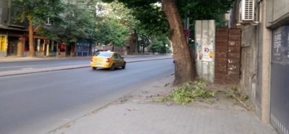 Все още се валят клони след смерча в четвъртък