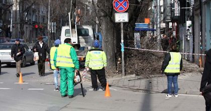 Внимание! Режат клони на оживено кръстовище във Варна, пресичането е пълен хаос (снимки)