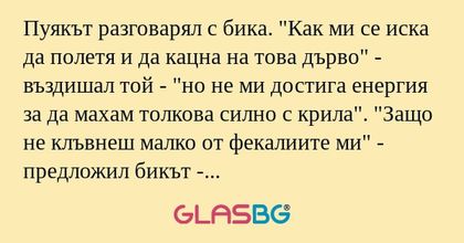Пуякът разговарял с бика.