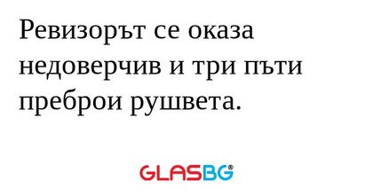 Ревизорът се оказа недоверчив и...