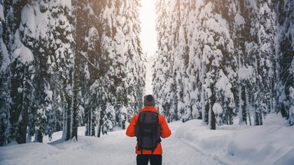 Финландия предлага безплатни екскурзии, за да ни научи на щастие