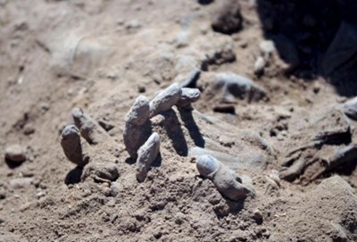Откриха масови гробове в Руанда с телата на 5 400 жертви на геноцида през 1994 г.