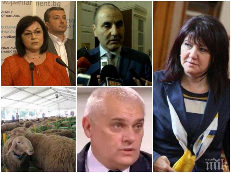 ИЗВЪНРЕДНО! Ето какво решиха депутатите за кризата с чумата