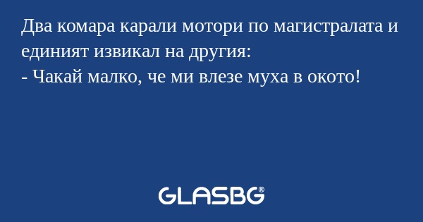 Два комара карали мотори по магистралата...