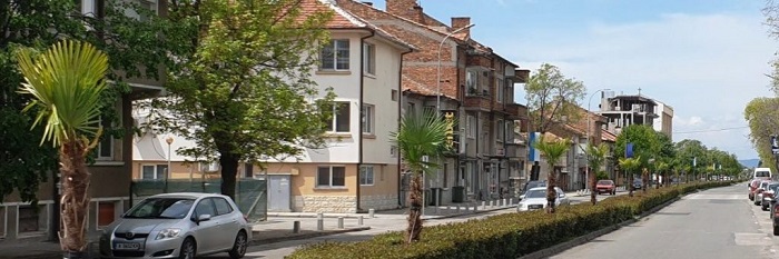 Бургас: 50 палми бяха засадени на главната улица в община Поморие