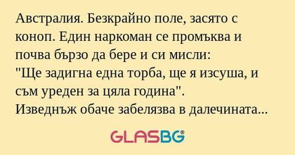 Австралия. Безкрайно поле, засято...