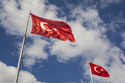 Турски съд освободи германска журналистка, обвинена в тероризъм