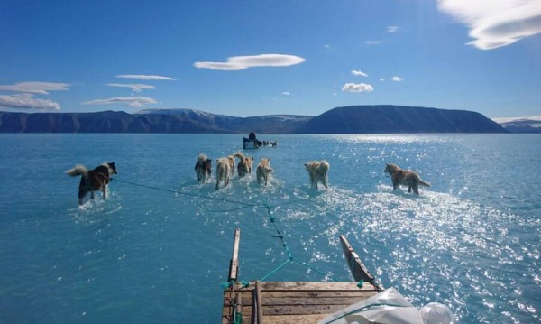 Гренландия: Светват всички червени лампи за глобалното затопляне