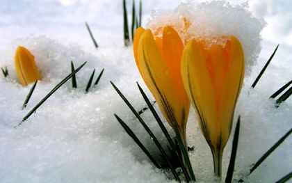 Времето на 14 февруари: Дъждовно, снежно и облачно