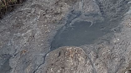 Централата край Труд: Битово - фекални води са източникът на зловонието, не ние