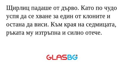 Щирлиц падаше от дърво. Като по...