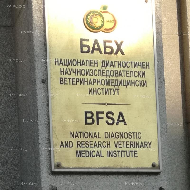 Варна: Дежурни инспектори от Областната дирекция по безопасност на храните извършат проверки и през празничните дни