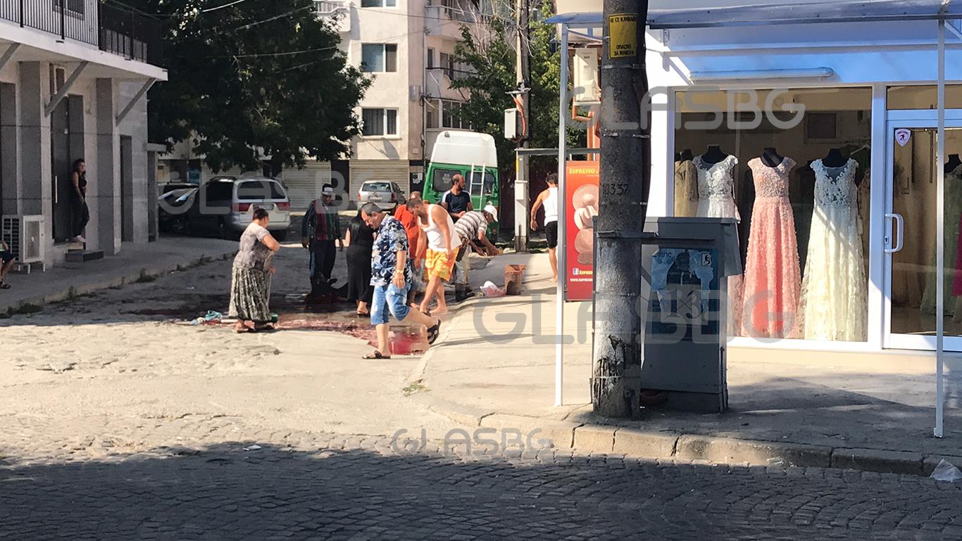 ВИДЕО 18+ : Реки от кръв потекоха в центъра на Пловдив! Десетки животни бяха пренесени в жертва за Курбан Байрям!