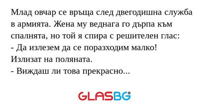 Млад овчар се връща след двегодишна...