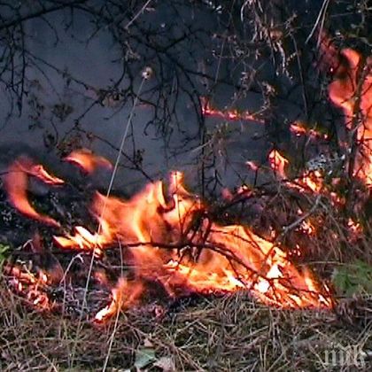 СТАВА СТРАШНО! Евакуират село заради пожара над Кресненското дефиле! Горят 3000 декара, ситуацията се усложнява
