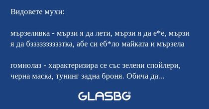 Забавни описания на видовете мухи!