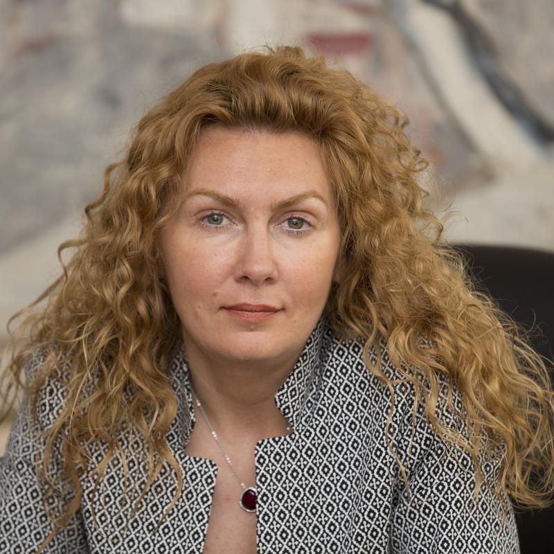 Заместник-министър Деница Николова участва в среща за бъдещото изпълнение на Дунавската стратегия
