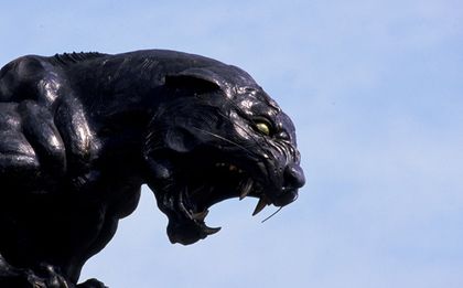 Застреляха талисмана на Олимпиадата в Рио
