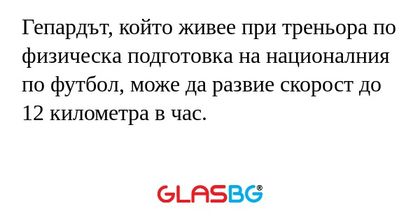 Гепардът, който живее при треньора...