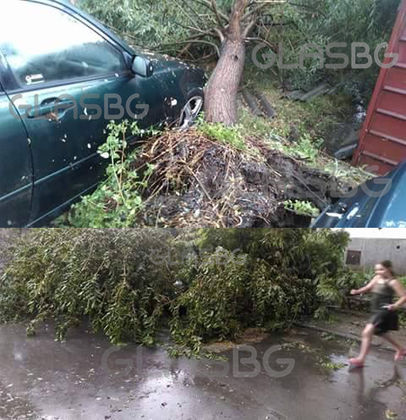 СНИМКИ: Паднали дървета и огради, пожар, наводнени дворове и улици, и часове без ток в Коматево