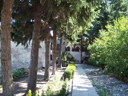Женски манастир край Пловдив чака първата си реколта от банани