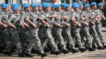 Aрмията има готовност да окаже подкрепа за решаване на проблема с африканската чума