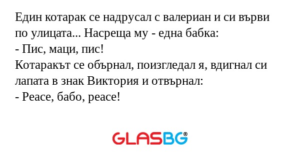 Един котарак се надрусал с валериан...