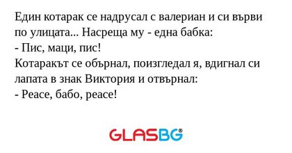 Един котарак се надрусал с валериан...