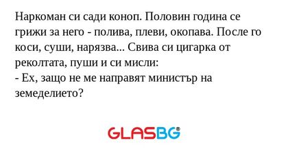 Наркоман си сади коноп. Половин...