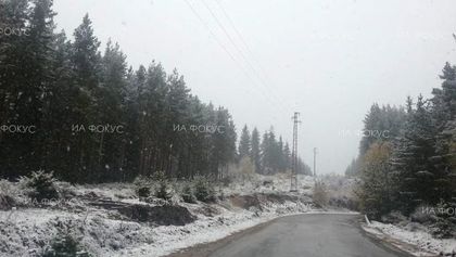 Бургас: Забранено е движението на моторни превозни средства с тегло над 12 тона по пътя Обзор – Слънчев бряг