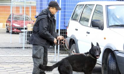 19 задържани в Косово, готвили атаки в страната и Албания