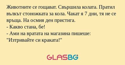 Животните се гощават. Свършила...