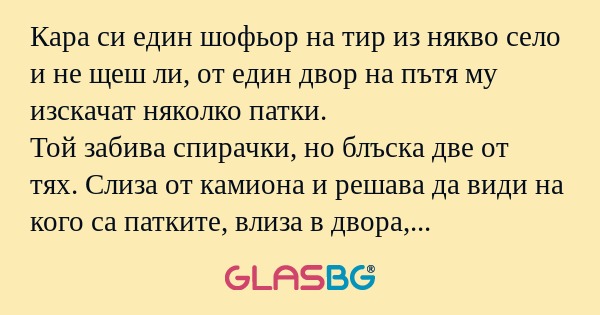 Кара си един шофьор на тир из някво...
