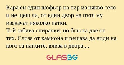 Кара си един шофьор на тир из някво...