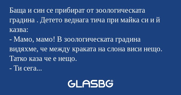 Баща и син се прибират от зоологическата...