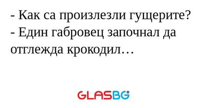 Как са произлезли гущерите...