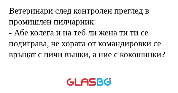 Ветеринари след контролен преглед...