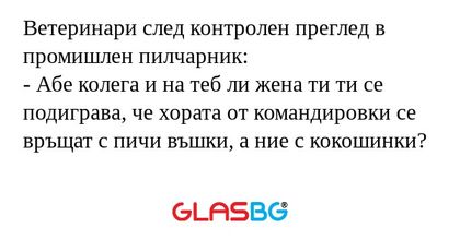 Ветеринари след контролен преглед...