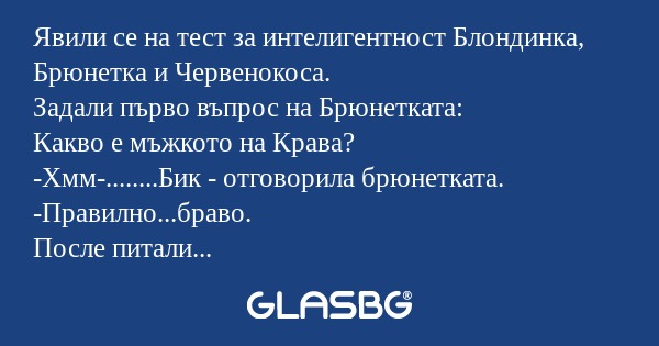 Явили се на тест за интелигентност...