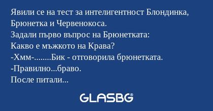 Явили се на тест за интелигентност...