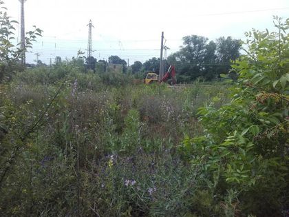Храсталак в широкия център на Пловдив погълна цял багер