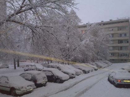 Снегът парализира Пловдив (СНИМКИ)